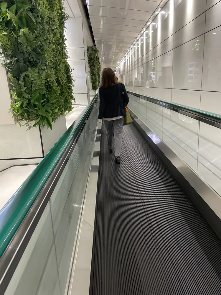 2026年5月15日の写真